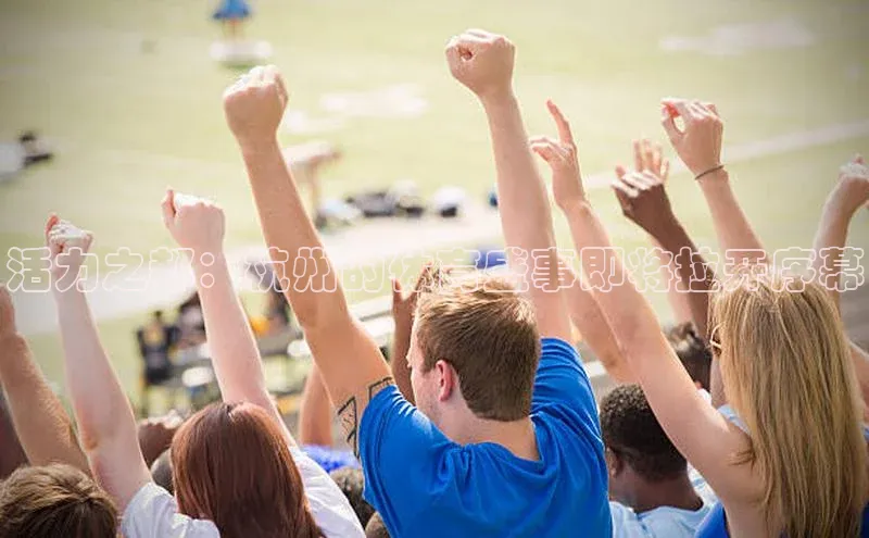 伟德bv1946官网首页慧博云通活力之都：杭州的体育盛事即将拉开序幕