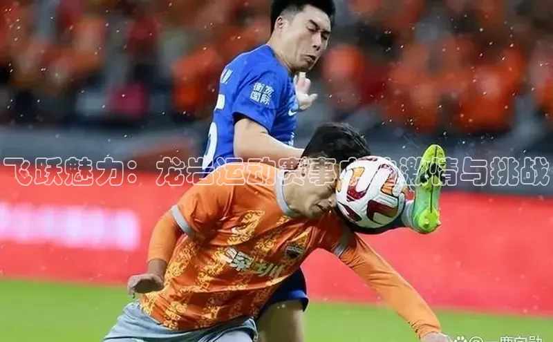 伟德BETVlCTOR1946官方网站百度数据开放平台飞跃魅力：龙岩运动赛事中的激情与挑战