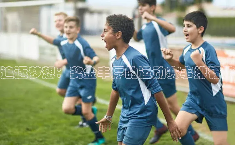 伟德betvlctor体育集团爱慕股份追逐梦想：奖金丰厚的运动赛事排行榜
