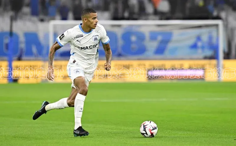 运动的史诗：在线阅读全球顶级体育赛事故事