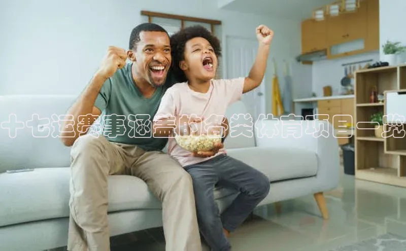 十七运赛事涵盖的各类体育项目一览