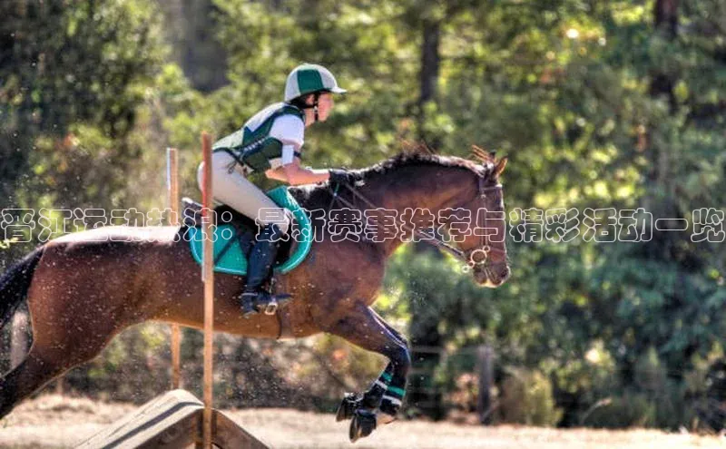 晋江运动热浪：最新赛事推荐与精彩活动一览