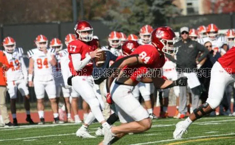 最新体育赛事日历：即将到来的热门和专业赛事一览