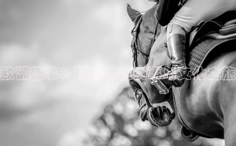 欧洲盛事：顶尖体育赛事与文化之旅