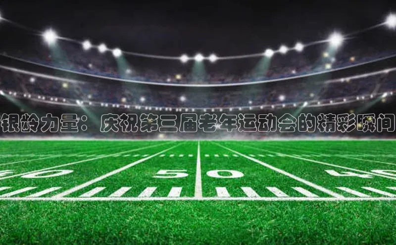 银龄力量：庆祝第三届老年运动会的精彩瞬间