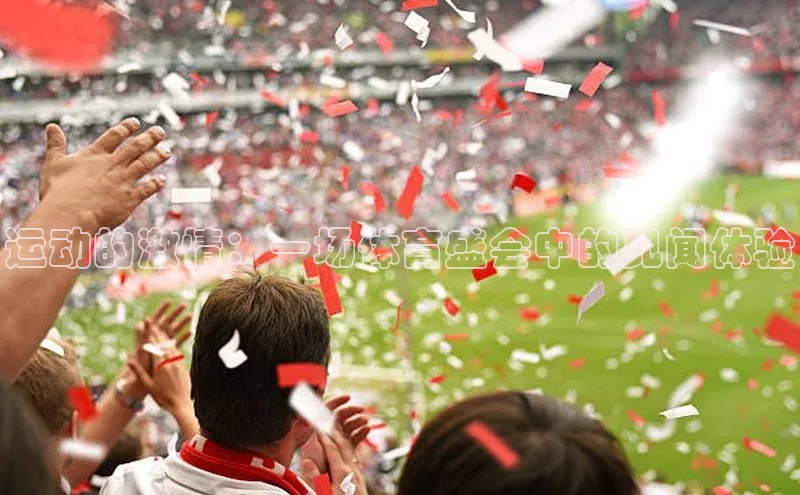 运动的激情：一场体育盛会中的见闻体验