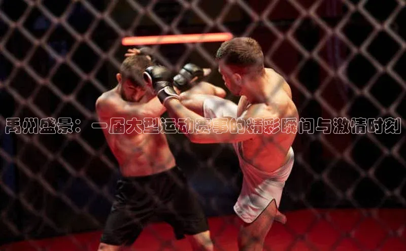 禹州盛景：一届大型运动赛事的精彩瞬间与激情时刻