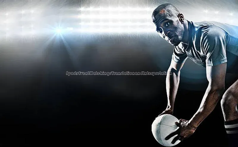 SportsEventWatching:TranslationandInterpretation