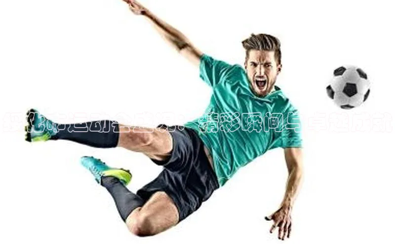 绥化市运动会盛况：精彩瞬间与卓越成就