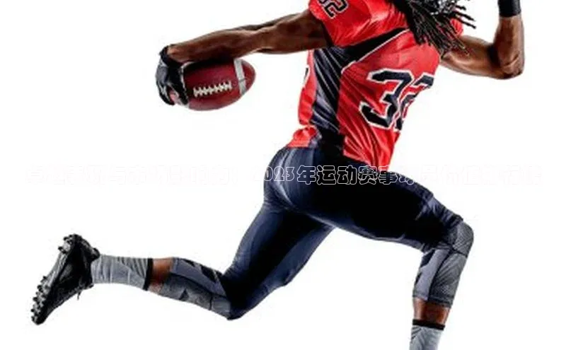 伟德bv国际体育