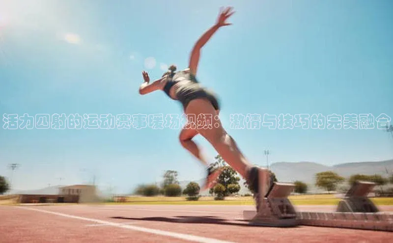 BETVlCTOR最新地址